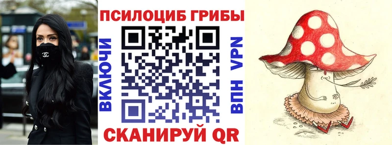 закладка  Афипский  Псилоцибиновые грибы MAGIC MUSHROOMS 