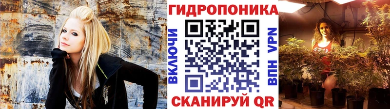 как найти   Афипский  Шишки марихуана планчик 